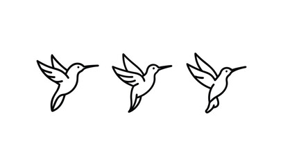 Obraz premium Three minimalist line art hummingbirds in flight on a white background