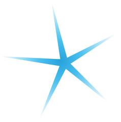 Abstract Star Sparkle