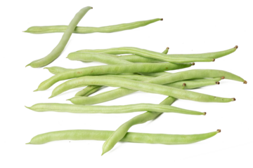 The Green bean photo with high resolution and focus stack technique.