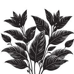 leaf silhouette