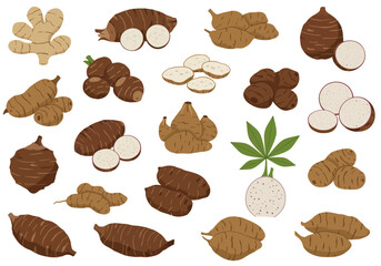 Illustration of various brown root vegetables