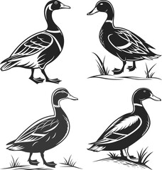 Duck Waterfowl Silhouette Minimalist Black and White Vector Illustration