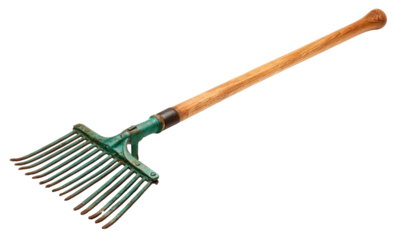 Aged green-tinted rake with wooden handle