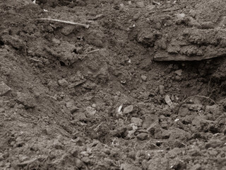 Textured Close-Up of Rich, Dark Brown Earth with Soil Clumps