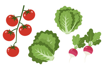 Tomatoes lettuce and radishes are displayed in a minimalist style