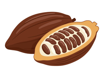Two cocoa pods one whole and one sliced open revealing seeds on a white background