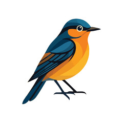 Bird Illustration