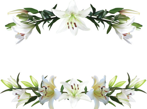 white lily lush design with blooms and buds
