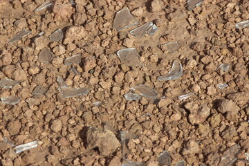numerous glass shards on the ground