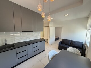 Modern Open-Concept Kitchen and Living Area with Gray Finishes