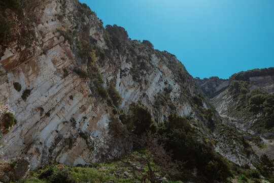 Limestone cliff face with green vegetation growing in cracks and natural ledges