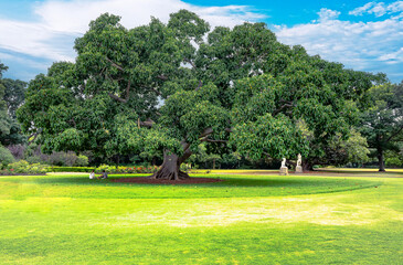 Royal Botanic Garden, it is a heritage-listed major botanical garden, Opened in 1816, the garden is the oldest scientific institution in Australia. Sydney, Jan 2020