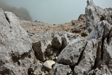Close-up view of weathered limestone rock formations with intricate natural textures and patterns.