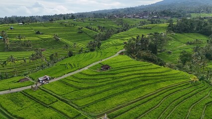 Jatiluwih Rice Terraces in Bali