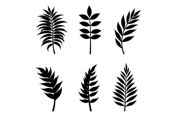 Collection of six black botanical leaf illustrations with varying shapes and arrangements on white background