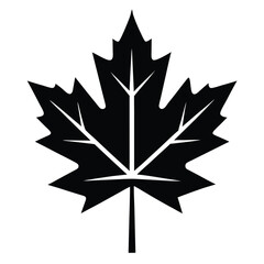 Single Black Maple Leaf Image Isolated, Detailed Veins, Botanical Illustration, Minimalist Design