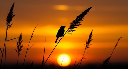 Obraz premium Stunning silhouette of a bird perched on grass against a vibrant orange and yellow sunset sky.
