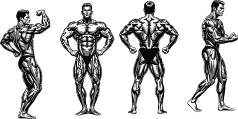 Muscular male bodybuilder poses vector, human anatomy sketch, fitness model illustration, professional physique study, CAD flat drawing