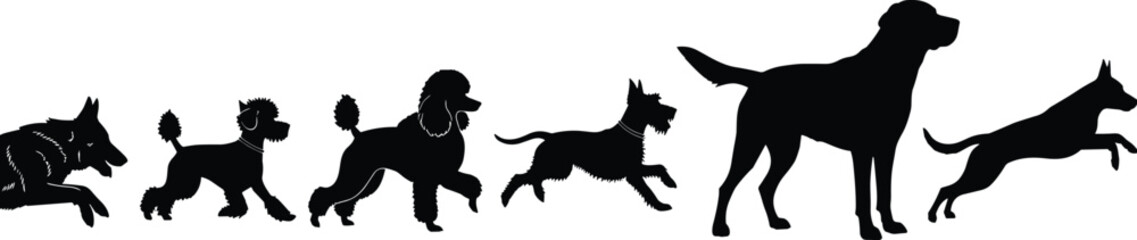 Cad drawing flat vector illustration of multiple dog breed silhouettes in various poses, black and white pet concept artwork design