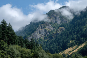 Fototapeta premium capture stunning summer landscapes and diverse nature found in all states of usa with focus on lush tropical