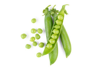 Open green pea pod with individual peas scattered around, isolated on white, transparent background. Image ideal for food designs, healthy lifestyle, and organic products legume, crop, food ingredient