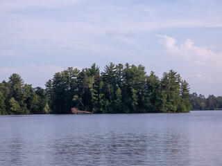 lake and trees