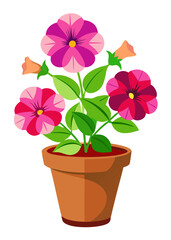 Beautiful petunia flower plant in pot vector illustration for gardening and floral design projects