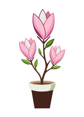 Beautiful potted pink flower blossoms vector illustration for botanical garden decor design