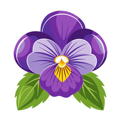 Beautiful purple pansy flower illustration vector graphic design floral bloom blossom garden art
