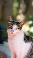 Pequeño contacto visual 