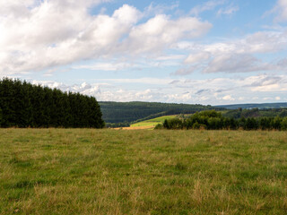 Obraz premium green field and blue sky