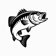 Fototapeta premium Black and White Bass Fish Illustration