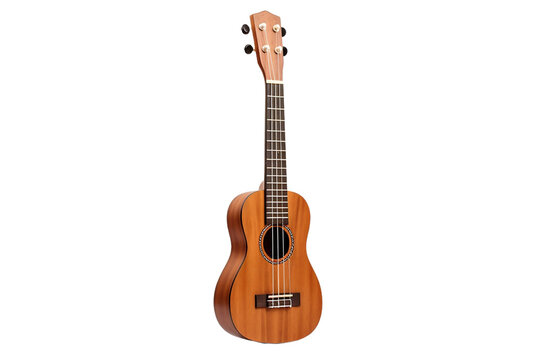 Acoustic ukulele with rich brown body