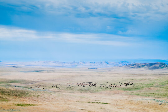 Burned Valley in Vashlovani National Park