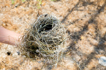 Wildlife Observation in Vashlovani with Scope