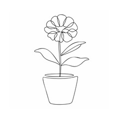 Single line flower in pot potted plant bloom