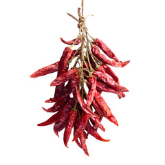 A bunch of dried red chili peppers tied together with twine hanging isolated on a transparent background for culinary use isolated on transparent background