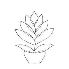 Elegant green plant in a pot potted plant leaves