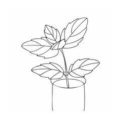 Minimalist line drawing of basil plant in pot leaves
