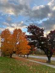 Naklejka premium Stunning nature landscape with vibrant greenery and clear blue sky, perfect for travel and outdoor backgrounds.