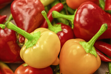 pair of yellow round hot peppers on the background of long red c