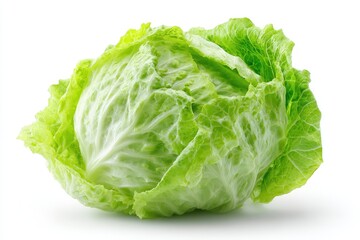 Fresh head of crisp green lettuce against white