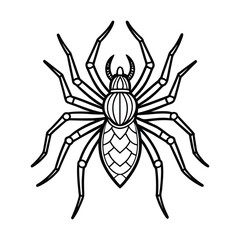 spider line art on a white background