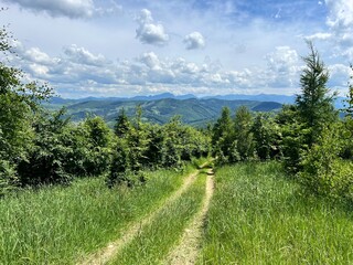 path in the slovak mountains