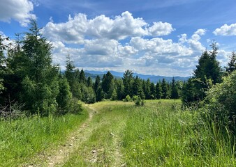 path in the slovak mountains