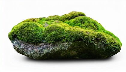rock covered in moss mossy rock isolated green moss covering stone green mossy rock for nature themes and forest visuals isolated