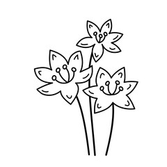 Doodle vector flower contour symbol isolated on a transparent background