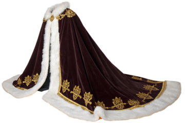Buy luxury velvet cloak with faux fur trim and gold embroidery for cosplay or formal events online now on transparent background