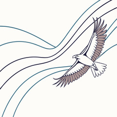 Fototapeta premium Eagle peacock and bird vector illustration in wild nature style