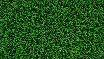 Close-up of Lush Green Grass